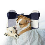 Pure Cotton Dog Pillow Manufacturer and Supplier in India
