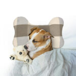 Pure Cotton Dog Pillow Manufacturer in India