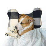 Pure Cotton Pet Pillow Manufacturer and Exporter in India