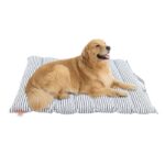 Cotton Pet Mat Manufacturer and Exporter in India